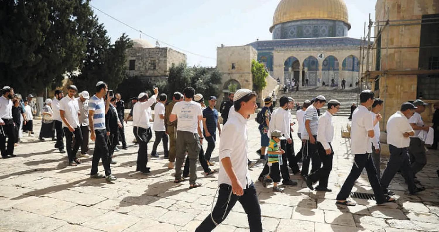تحقيق الأرقام القياسيّة في الأقصى.. إستراتيجية الإحلال وتكريس الهيمنة